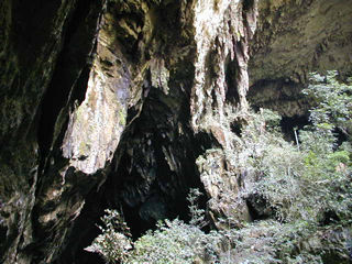near the mouth of Deer Cave