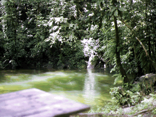 water spring near the mouse of clearwater cave